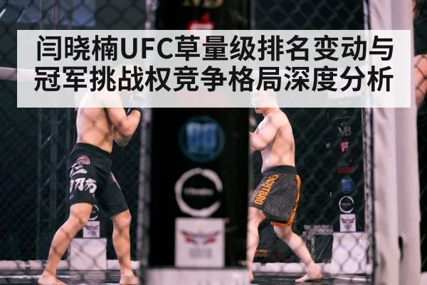 MMA octagon cage fight
